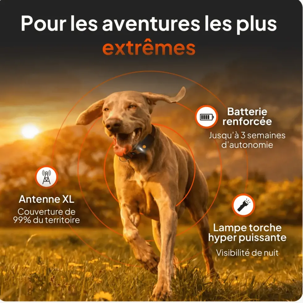 Traceur GPS pour chien coloris noir sans collier Weenect XT