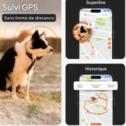 Traceur GPS pour chien coloris noir sans collier Weenect XT