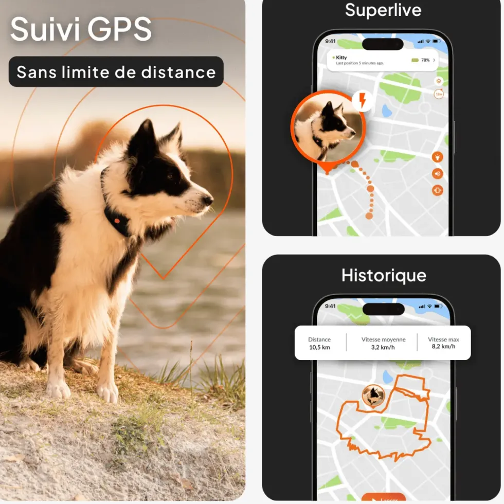 Traceur GPS pour chien coloris noir sans collier Weenect XT