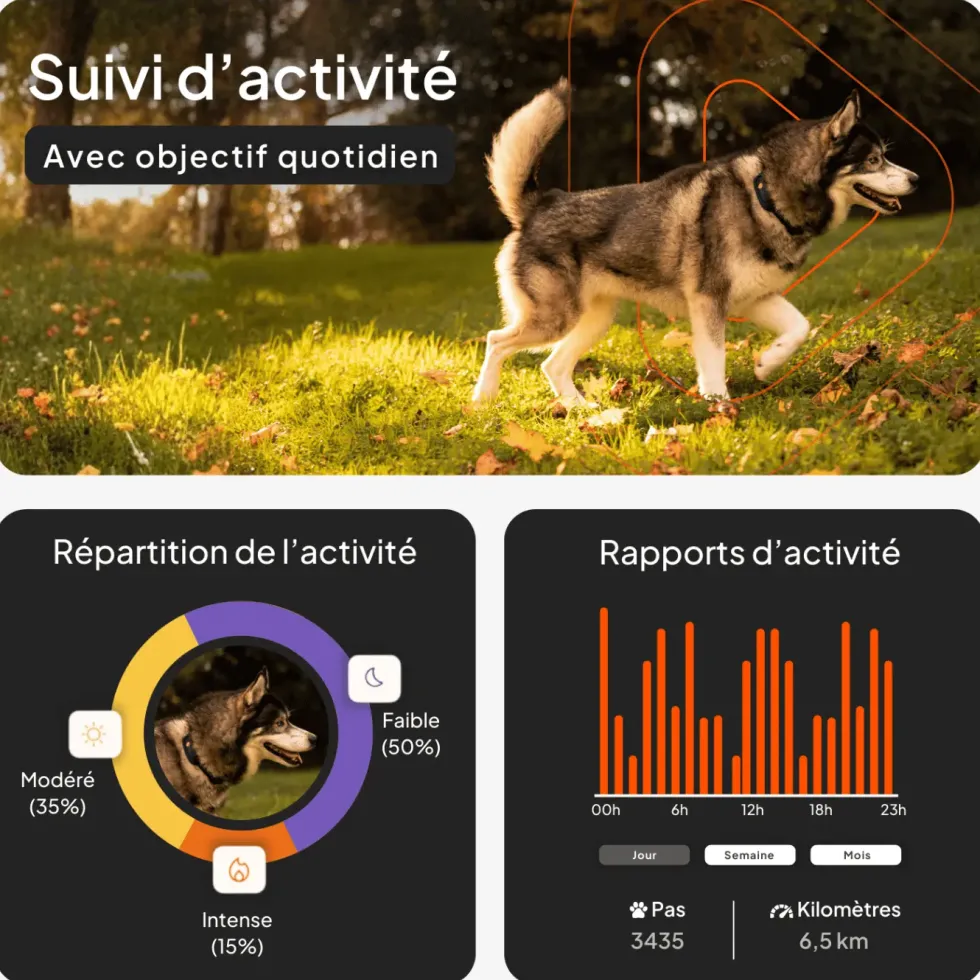 Traceur GPS pour chien coloris noir sans collier Weenect XT