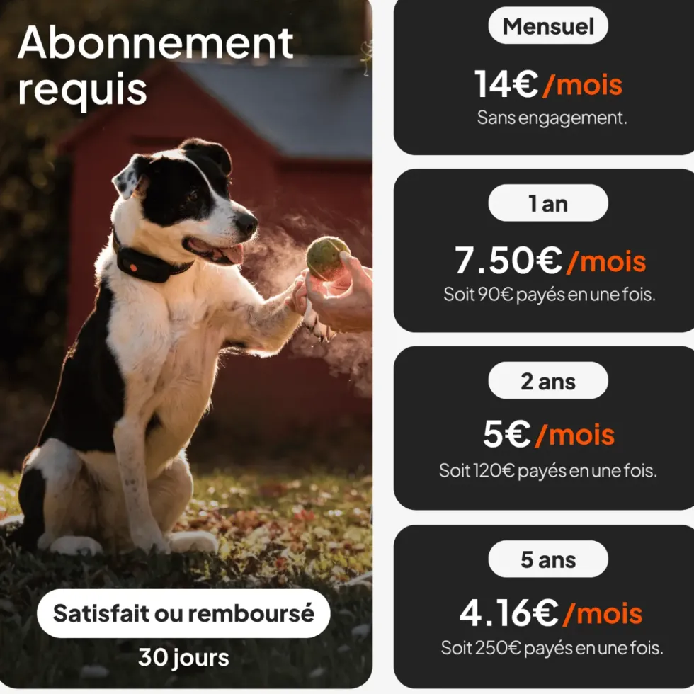Traceur GPS pour chien coloris noir sans collier Weenect XT
