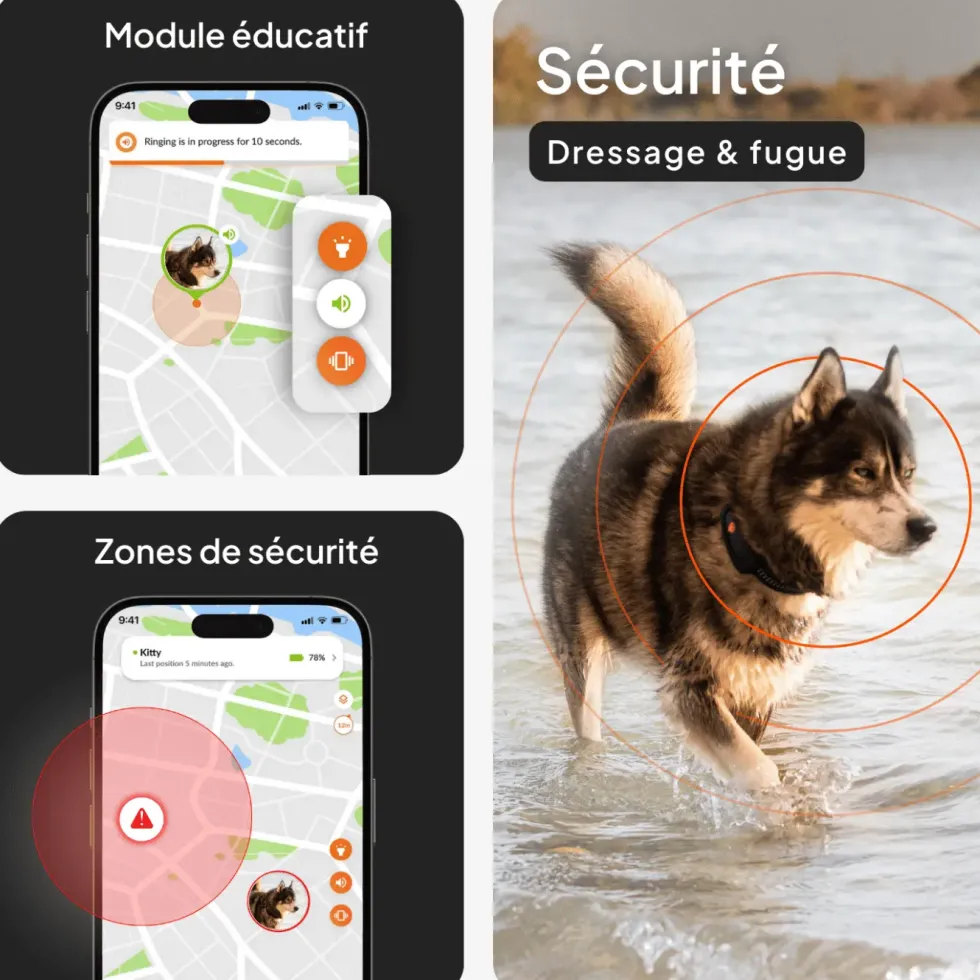 Traceur GPS pour chien coloris noir sans collier Weenect XT