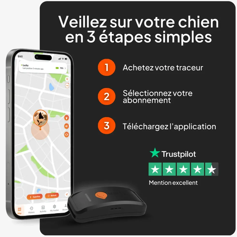 Traceur GPS pour chien coloris noir sans collier Weenect XT