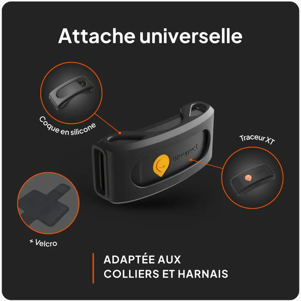 Traceur GPS pour chien coloris noir sans collier Weenect XT