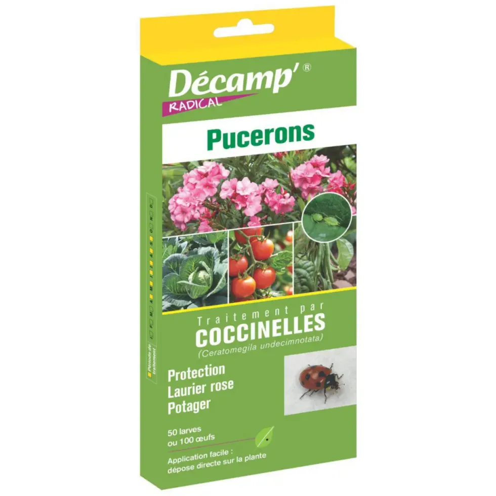 Traitement aux coccinelles anti pucerons Décamp