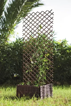Treillis extensible en osier naturel Nortene Treilliwillow - 0,50 x 1,50 m