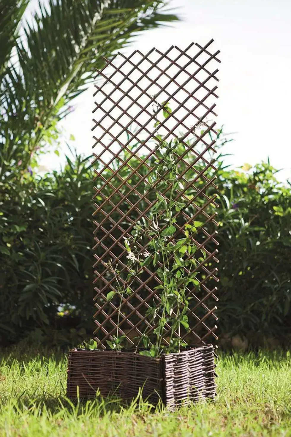 Treillis extensible en osier naturel Nortene Treilliwillow - 0,50 x 1,50 m