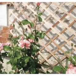 Treillis extensible Trelliwood en bois, 50 x 150 cm