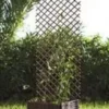 Trelliwillow trellis extensible en osier naturel - 100 x 200 cm