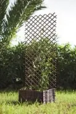 Trelliwillow trellis extensible en osier naturel - 100 x 200 cm
