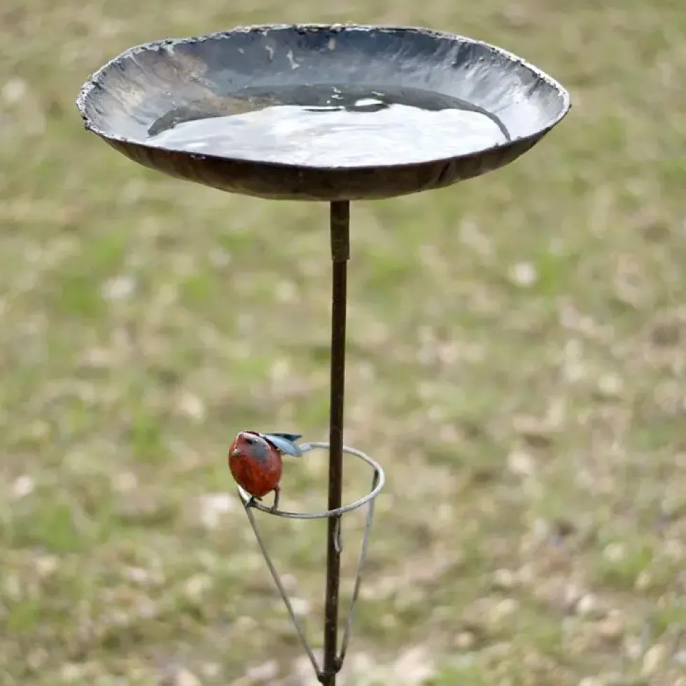 Tuteur métal avec bain grand modèle + 1 oiseau