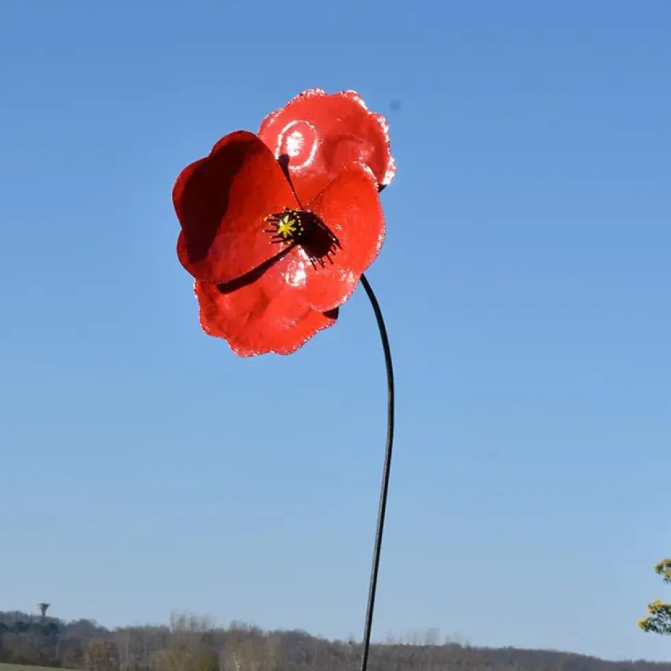 Tuteur métal coquelicot