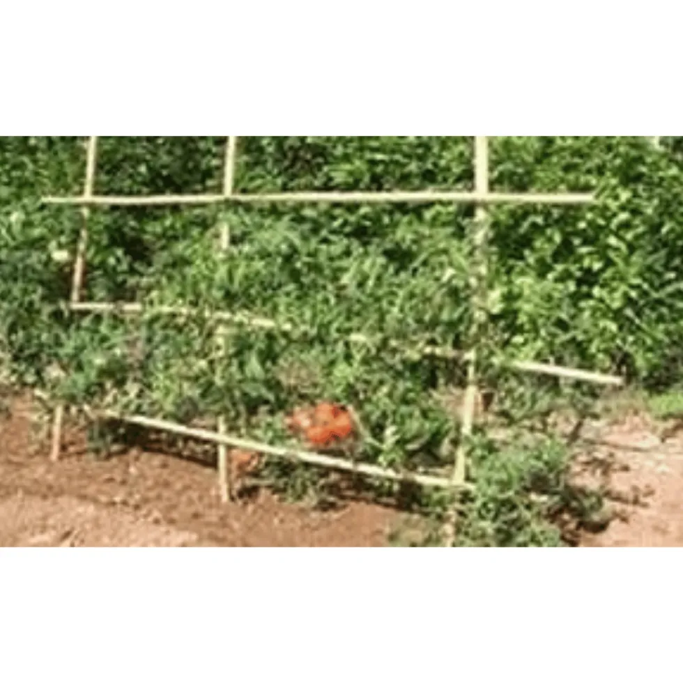 Tuteurs tomates 180 cm