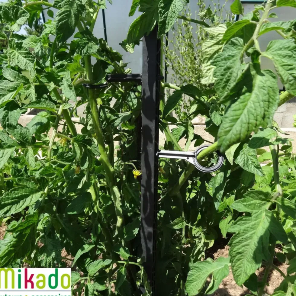 Tuteur à tomate avec 4 attaches coloris gris - 180 cm