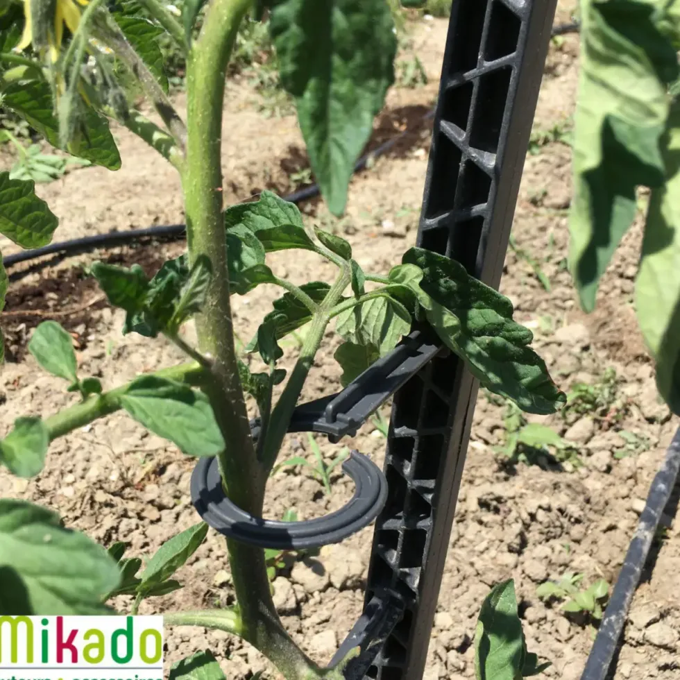 Tuteur à tomate avec 4 attaches coloris gris - 180 cm