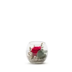 Verrine de végétaux stabilisés rose rouge et eucalyptus Naturalys Venezia 8 - Ø 8 x H 8 cm