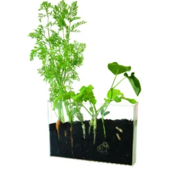 Vivarium Kit d’observation Visio nature plastique 30x60x22 cm (À partir de 6 ans)