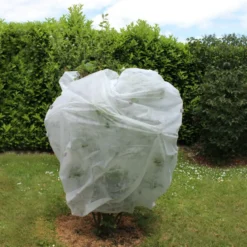 Voile d'hivernage pour plantes 30g/m² Jany France - 2 x 5 m