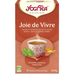Yogi Tea Joie de vivre - 17 sachets